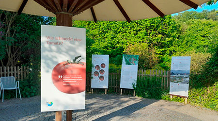 Alles Tomate! - Ausstellung im Botanischen Garten Augsburg