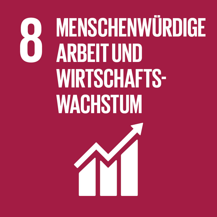 SDG 8 Menschenwürdige Arbeit