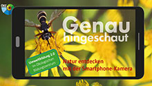 Umweltbildung 2.0 Umweltbildung 2.0